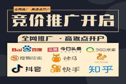 行业专家解读：专业SEM托管的五大成功案例